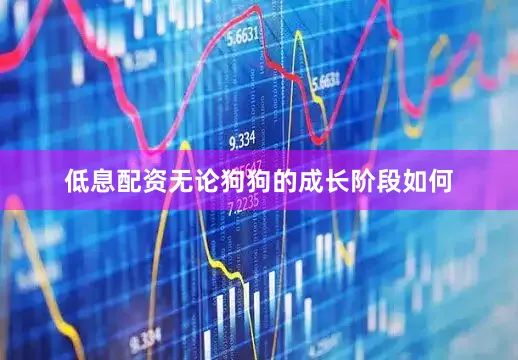 低息配资无论狗狗的成长阶段如何