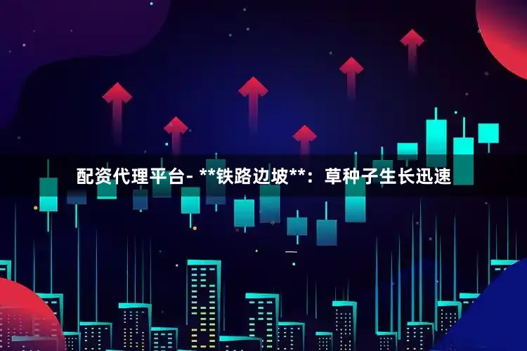 配资代理平台- **铁路边坡**：草种子生长迅速