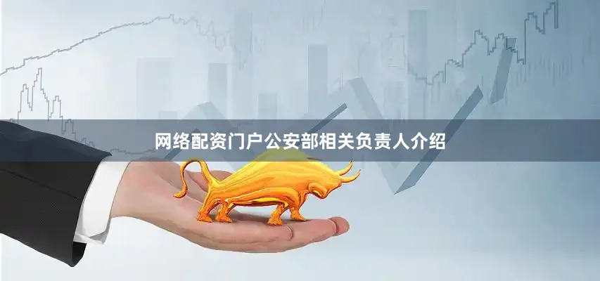 网络配资门户　　公安部相关负责人介绍